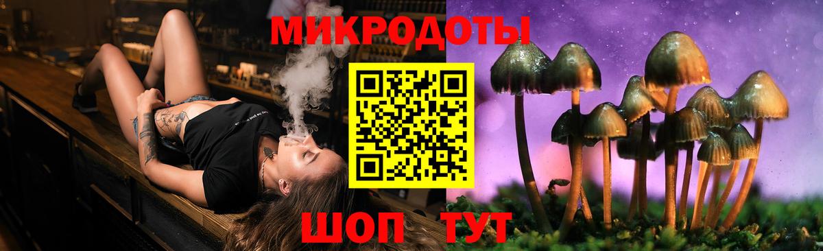 как найти   Вход с VPN  Прокопьевск  Галлюциногенные грибы Psilocybe 